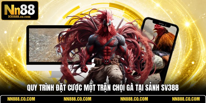 Quy trình đặt cược một trận chọi gà tại sảnh SV388