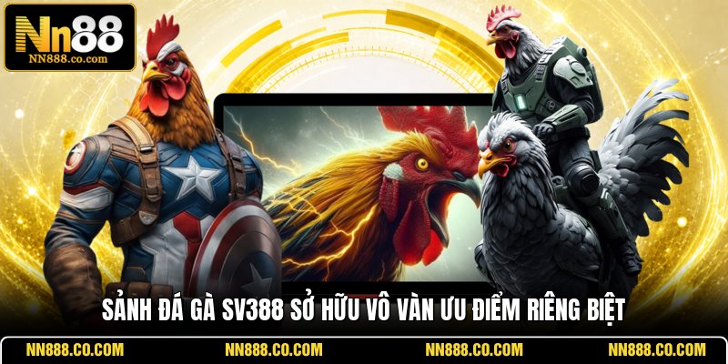 Sảnh đá gà SV388 sở hữu vô vàn ưu điểm riêng biệt