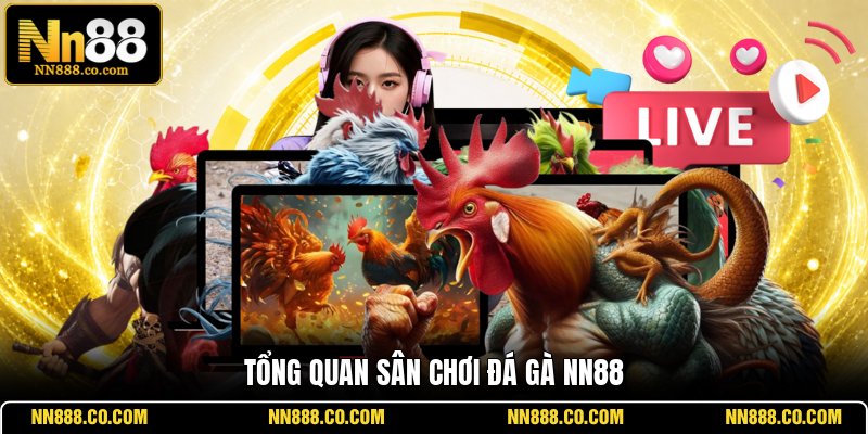 Tổng quan sân chơi đá gà NN88